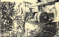 Les moulins de l'Hérault, dossier n° 6.	Montpellier, 1986.