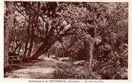 Etablissement de Montmirail, un coin du parc.