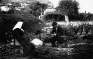 L'égrenage du sorgho à Villeneuve-les-Avignon.