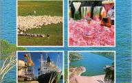 Guide du tourisme industriel et technique Provence Alpes Côte d'Azur-Corse.	éditions Solar, 1994.