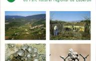 Courrier scientifique du Parc naturel régional du Luberon, n° 3, 1999. Apt, PNRL, 1999.
