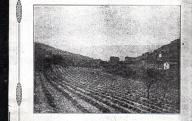 La lavande, sa culture, sa distillation.	Imprimerie Macabet, Vaison-la-Romaine, vers 1924.