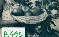 492	NOCETI (Ch.)	La culture du pommier dans le Midi.	Montpellier, 1962.