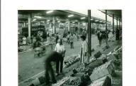 HARTOG Catherine	Le marché d'intérêt national d'Avignon 1960 à 2010, du marché-gare au marché de gros.	Imprimerie Laffont, Avignon, 2010.