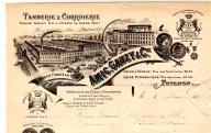 Tannerie et corroierie Amic-Gauzy et Cie. Avignon, 1905.