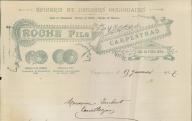 Epicerie et denrées coloniales Roche fils, Carpentras, 1917.
