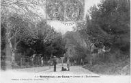 Montmirail, avenue de l'établissement à Gigondas
