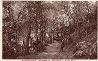 Etablissement de Montmirail, grand bois à Gigondas