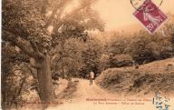 Montmirail, chemin des Chênes, la tour Sarrazine, vallon du Souïras à Gigondas