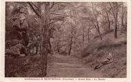 Eétablissement de Montmirail, grand bois, le menhir à Gigondas