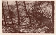 Etablissement de Montmirail, montée du Graminier à Gigondas
